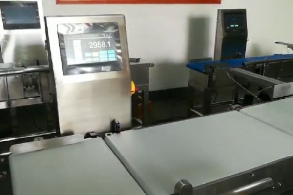 皮帶寬度500mm稱(chēng)重機(jī)重量不符測(cè)試視頻